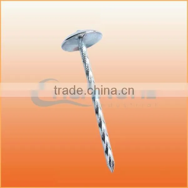 Top Quality Flat Top Yellow Coated Ring/smooth Coil Roofing Nails Trusted Chuanghe Suppliers From Com photo-6