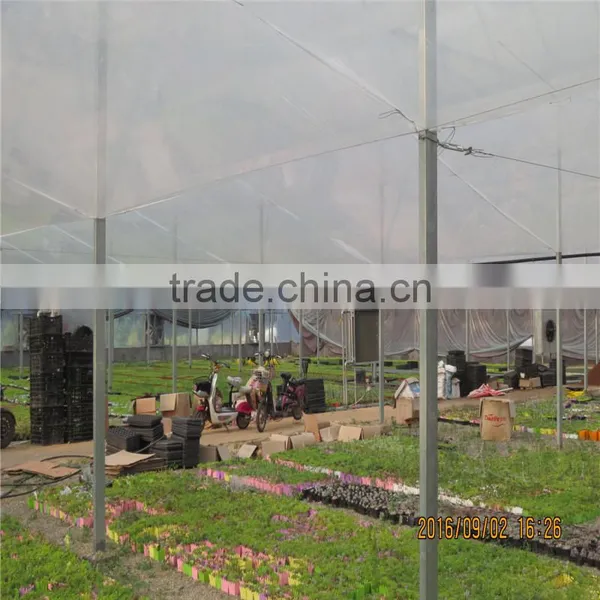 Brand New Glass Greenhouse for Sale photo-4