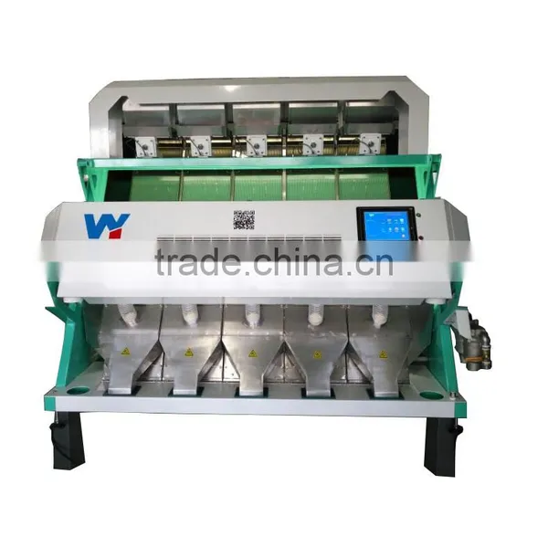 5 Chutes High Productivity Fresh Garlic Color Sorting Machine photo-5