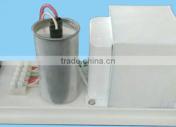 European Standard Hydroponic 600watt HPS MH Horticultural Lamp Used Open Model Grow Light Magnetic Ballast Without Outer Box photo-4