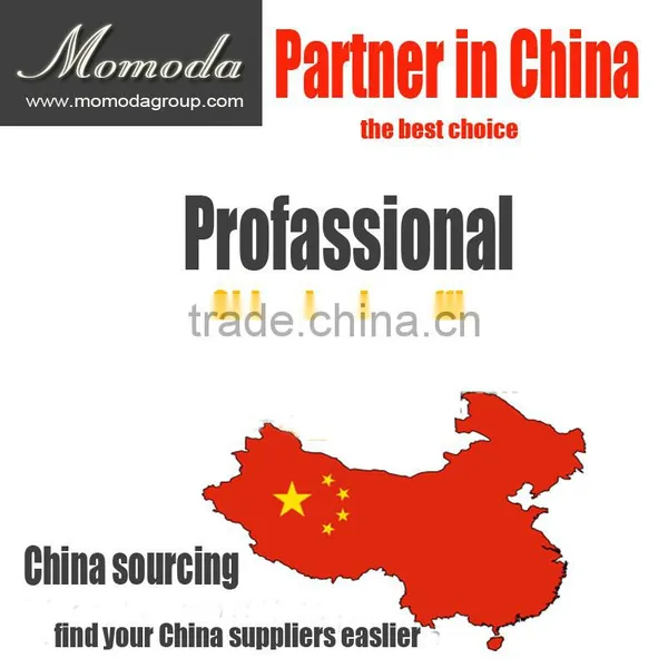 Container Load Shipping Agent in Foshan China