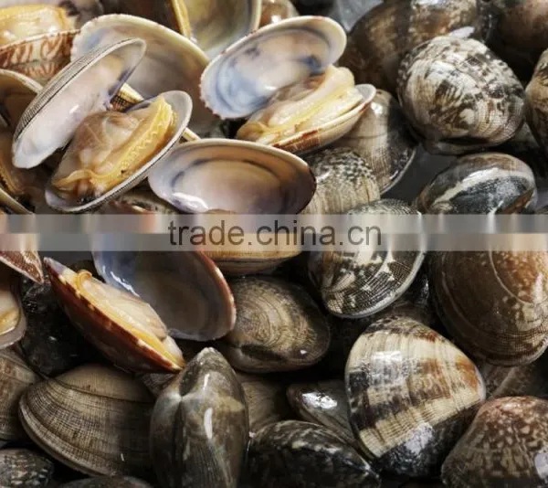 Sands off Short Necked Clam Meat photo-4