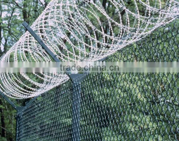 Galvanzied Barbed Iron Wire, Sharp Razor Barbed Wire From Guangzhou photo-4