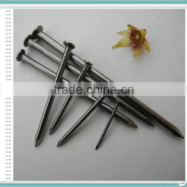 Price of Iron Nails/common Iron Nails/common Wire Nails China Supplier photo-3