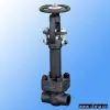 Sell Forged Steel Cryogenic Valve