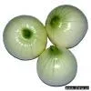 Sell Onion