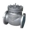 Tiny Dreg Slow Shut Check Valve