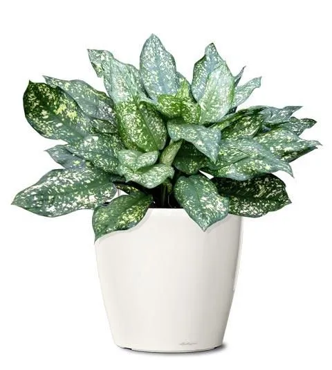 40-60cm Indoor Potted Plants Artificial Outdoor White