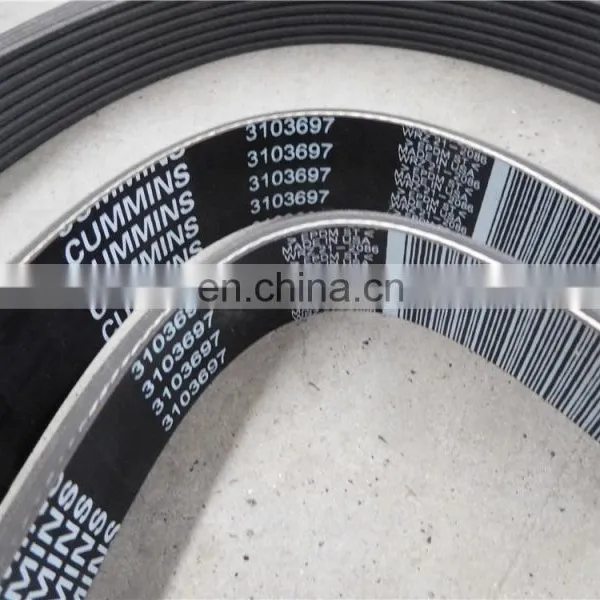 3103697 Belt photo-3
