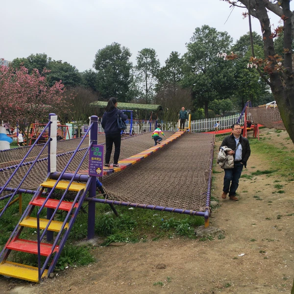 Wooden Climbing Frame With Slide Swing Sets For Sale Small Garden Play Equipment photo-3