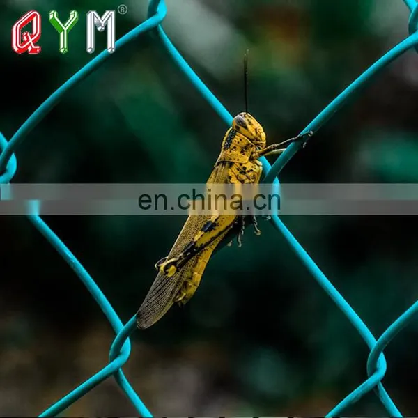 Diamond Wire Mesh Stadium Fence Chain Link Fence photo-3