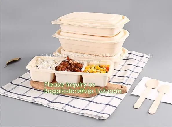 Sugarcane Pulp Lunch Disposable Box Bagasse Food Container Disposable Clamshell Lunch Box Bagease Pac photo-5