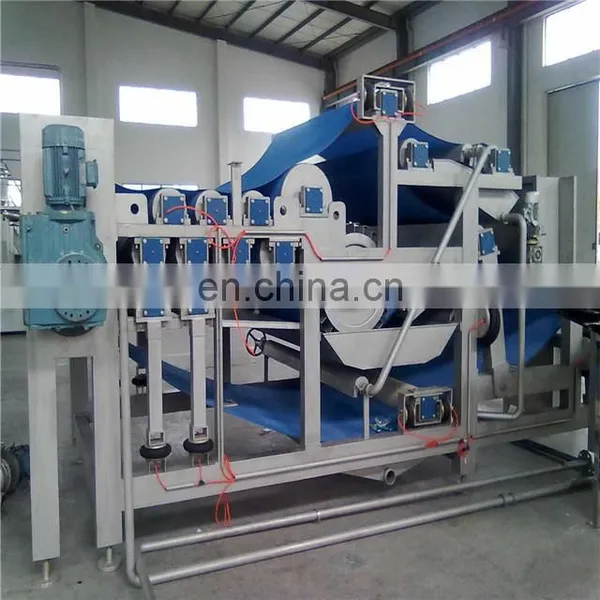 Commercial Melon Juice Processing Plant photo-4