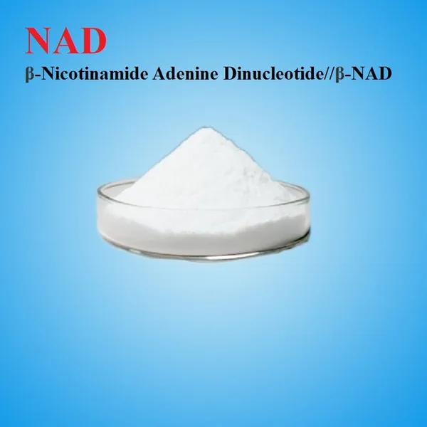 NAD β-Nicotinamide Adenine Dinucleotide//β-NAD
