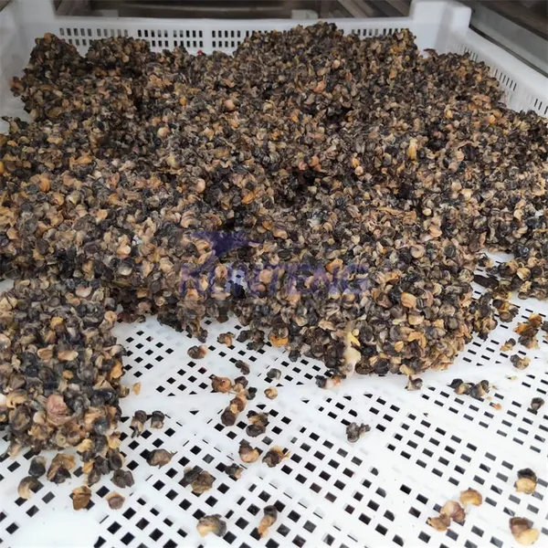 Industrial Bsf Larvae Air Drying Machine for Insect Earthworm Dried Mealworm Animal Blood Organic Fertilizer Brewery Waste Dryer EPC photo-4