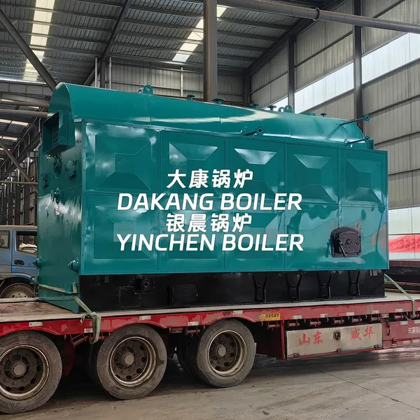 Dakang Chain Grate Coal Fired Steam Boiler Stable Output Horizontal Industrial Steam Boiler photo-5