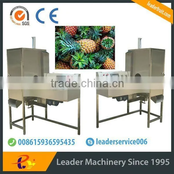 Leader Pineapple Peel and Pulp Separater With Low Power Consumption photo-2
