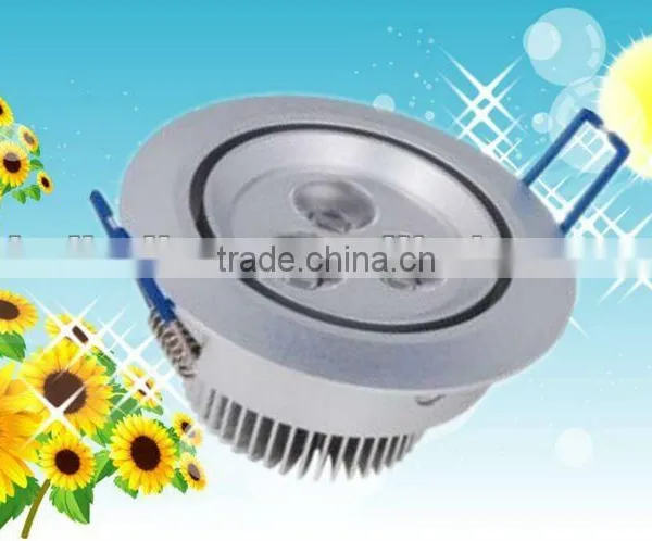 LED Down Light