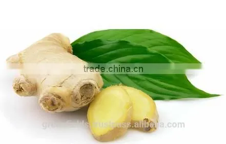 Yellow Essential Ginger Massage Oil