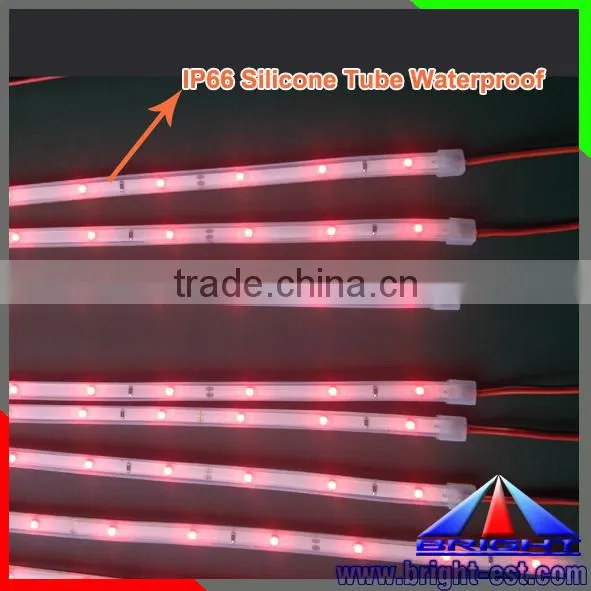 SMD 3528 Outdoor Decoration Led Strip Light photo-4