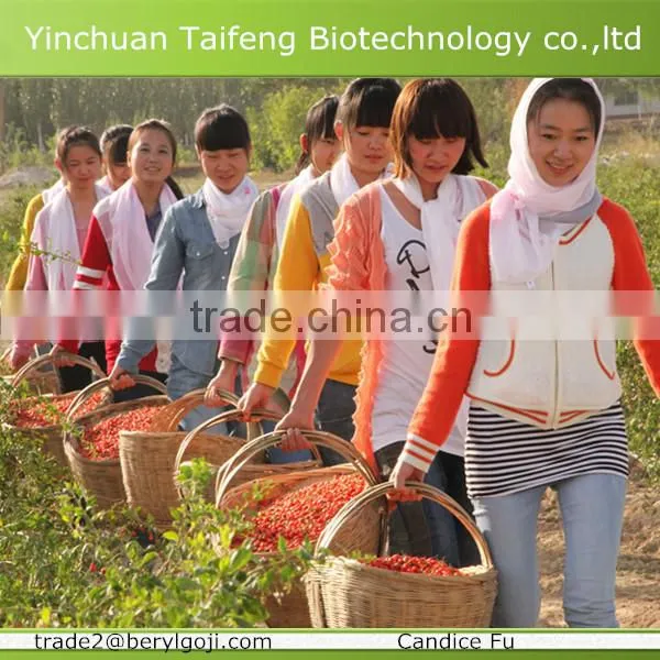 Low Pesticide Residue Wolfberry/goji Berries photo-2