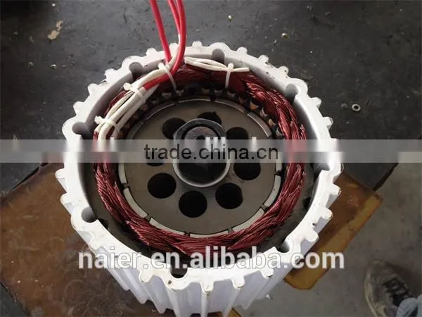 for Sale Good Quality 2000w Generator 2kw PMG for Wind Turbine Made in China photo-2