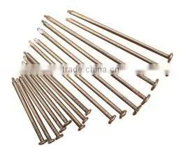 Wire Nail