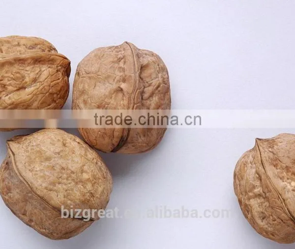 Supply With Chinese Bulk Walnuts in Shell for Sales photo-3