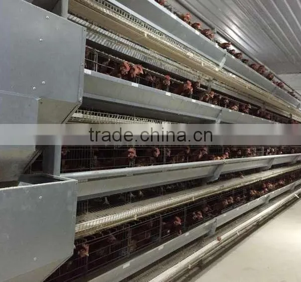Layer Feeding Equipment Layer Cage