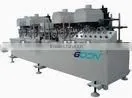 PSCM300 Sanding Machine