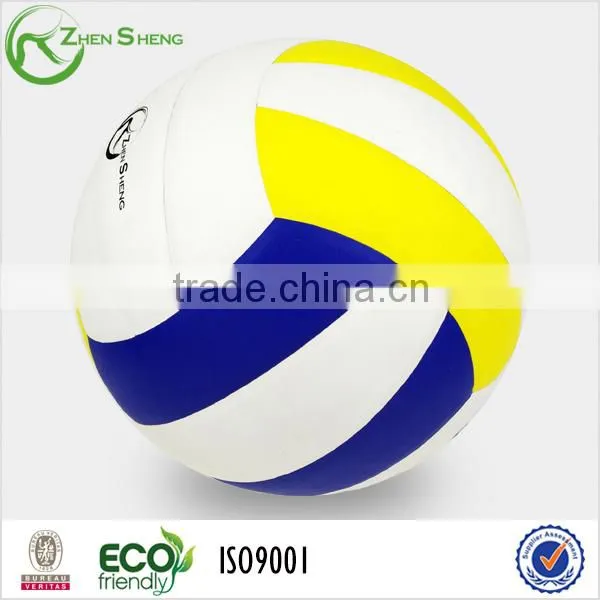 Official Volleyball photo-2