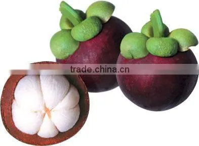 Fresh Mangosteen photo-2