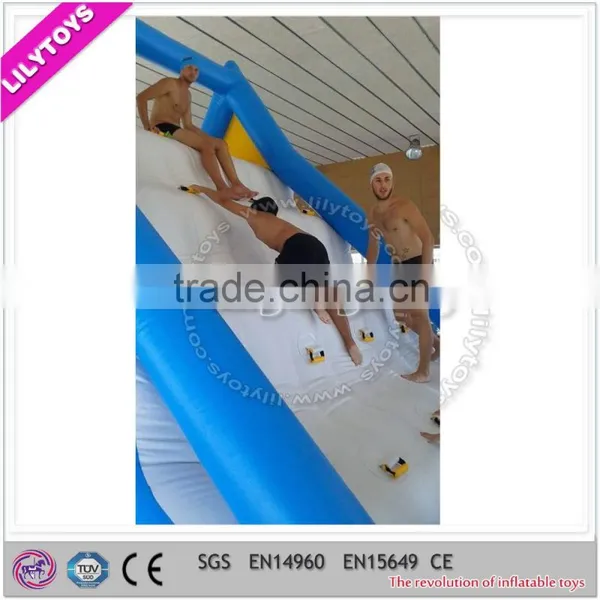 2015 Newest Design Inflatable Pool Slide on Sale, Giant Inflatable Water Slide photo-4