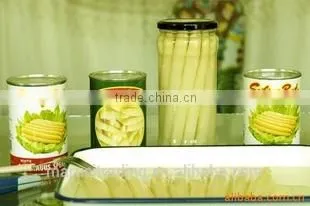 Fresh Canned White Asparagus