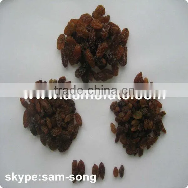 AAA Grade 95% Xinjiang Brown Raisin photo-4