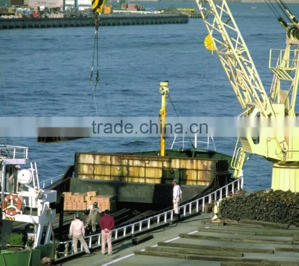 Cargo Handling in Russian Far East Ports (Vladivostok, Vostochny, Vanino) photo-3