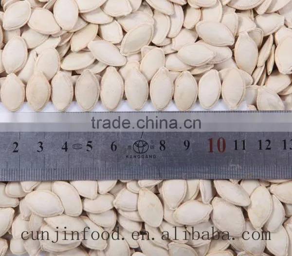 Shine Skin Pumpkin Seeds in Shell 10mm up photo-6