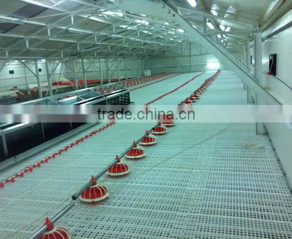 Goldenest Automatic Egg Collection System Chicken Nesting Boxes Factory Price JCJ15-A02 photo-6