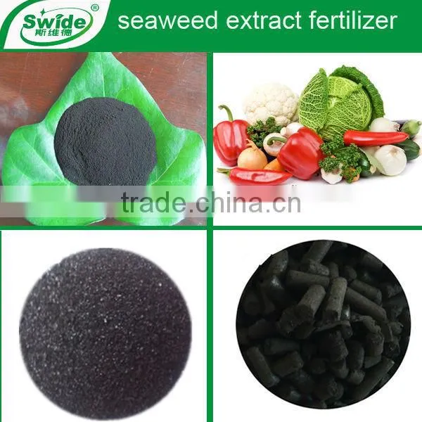 Pure Seaweed Extract Fertilizer Flake/Powder