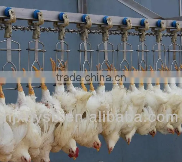 Halal Chickens Slaughtering Equipment for Abattoir House photo-3