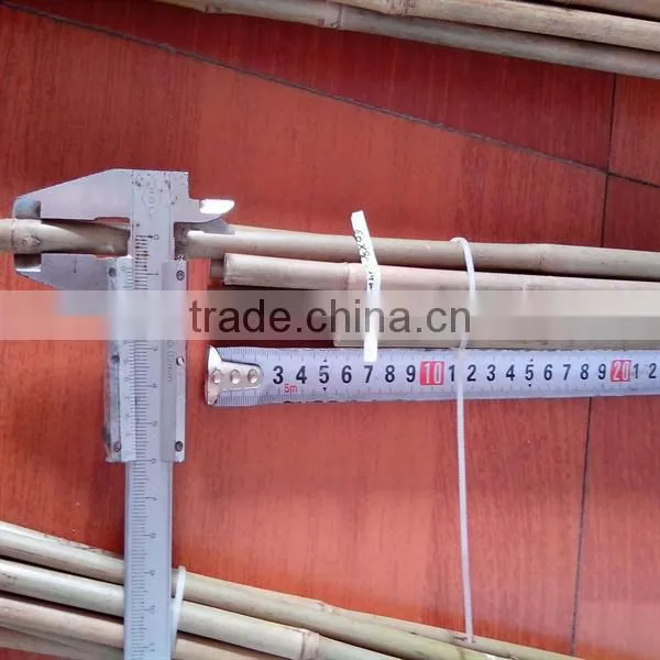 WY-218 Natural Dry High Quality Bamboo Poles Holder/tree in Raw Materials for Sale photo-4