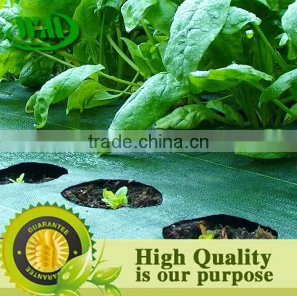 Protective PP Ground Cover photo-2