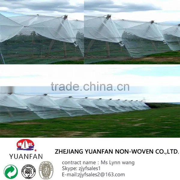 PP Spun Bonded Non Woven Agriculture Fabric for Plant Cover photo-6
