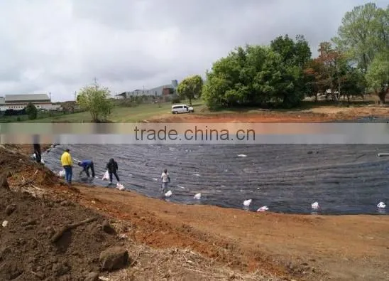 Factory Price HDPE Geomembrane Films photo-2