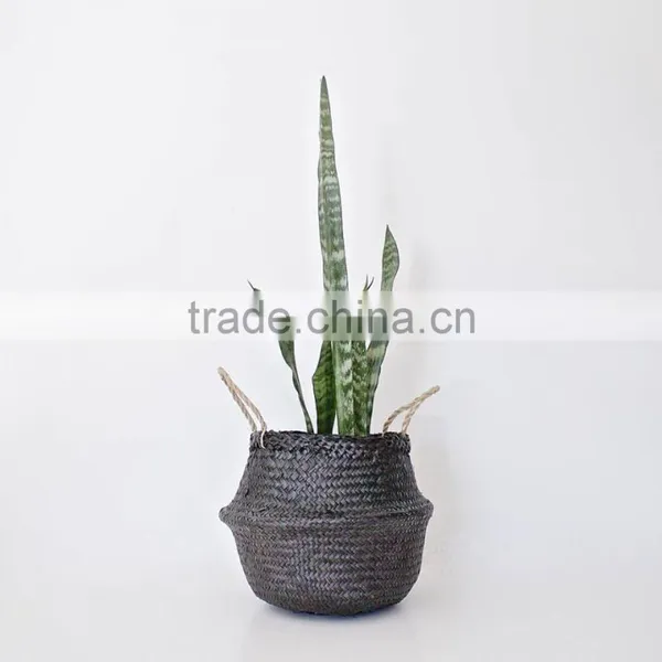 Natural Belly Seagrass Basket / Planter for Home Decoration photo-4