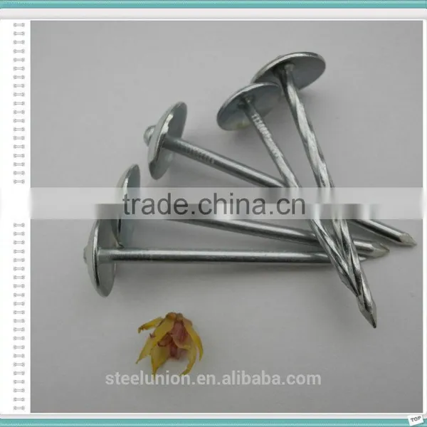 Roofing Nails Umbrella Head/Galvanized Roofing Nails Price/Roofing Nails photo-4