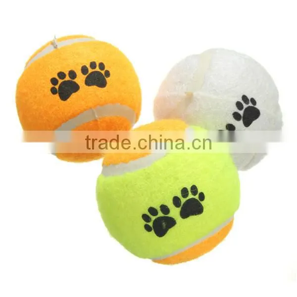 2016 New Top Selling Pet Cat Dog Play Training Tennis Ball Funny Chew Run Fetch Throw Beach Toys Pet Supplies photo-2