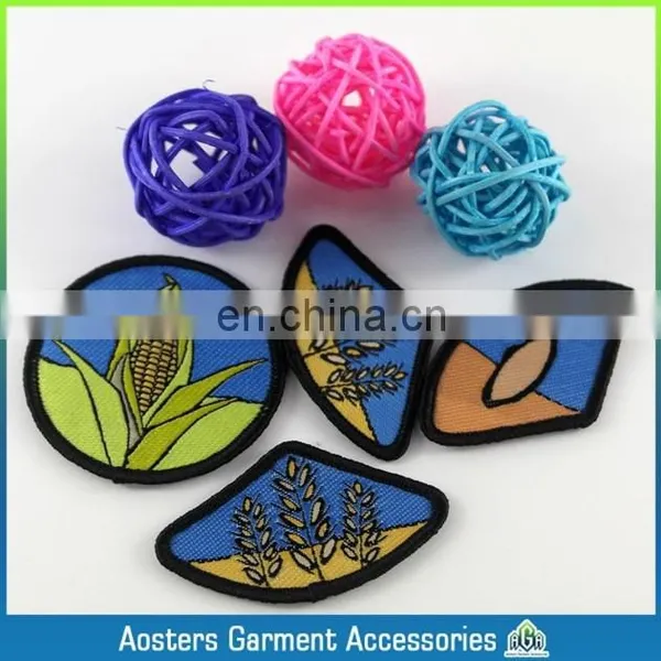 Die Cut Shape With Logo Book and Bird Woven Military Emblems photo-3