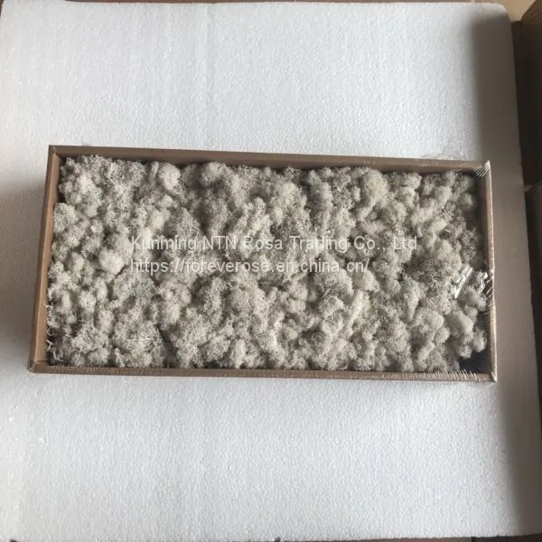 Grade A Preserved Mountain Moss for Home Decoration