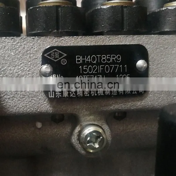Genuine Injection Pump 4QTF74ZH BH4QT85R9 1111010-X48 for Dachai 498 Engine photo-3